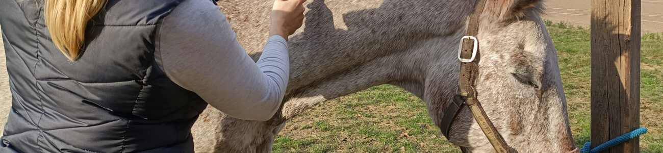 Physikalische Therapien
