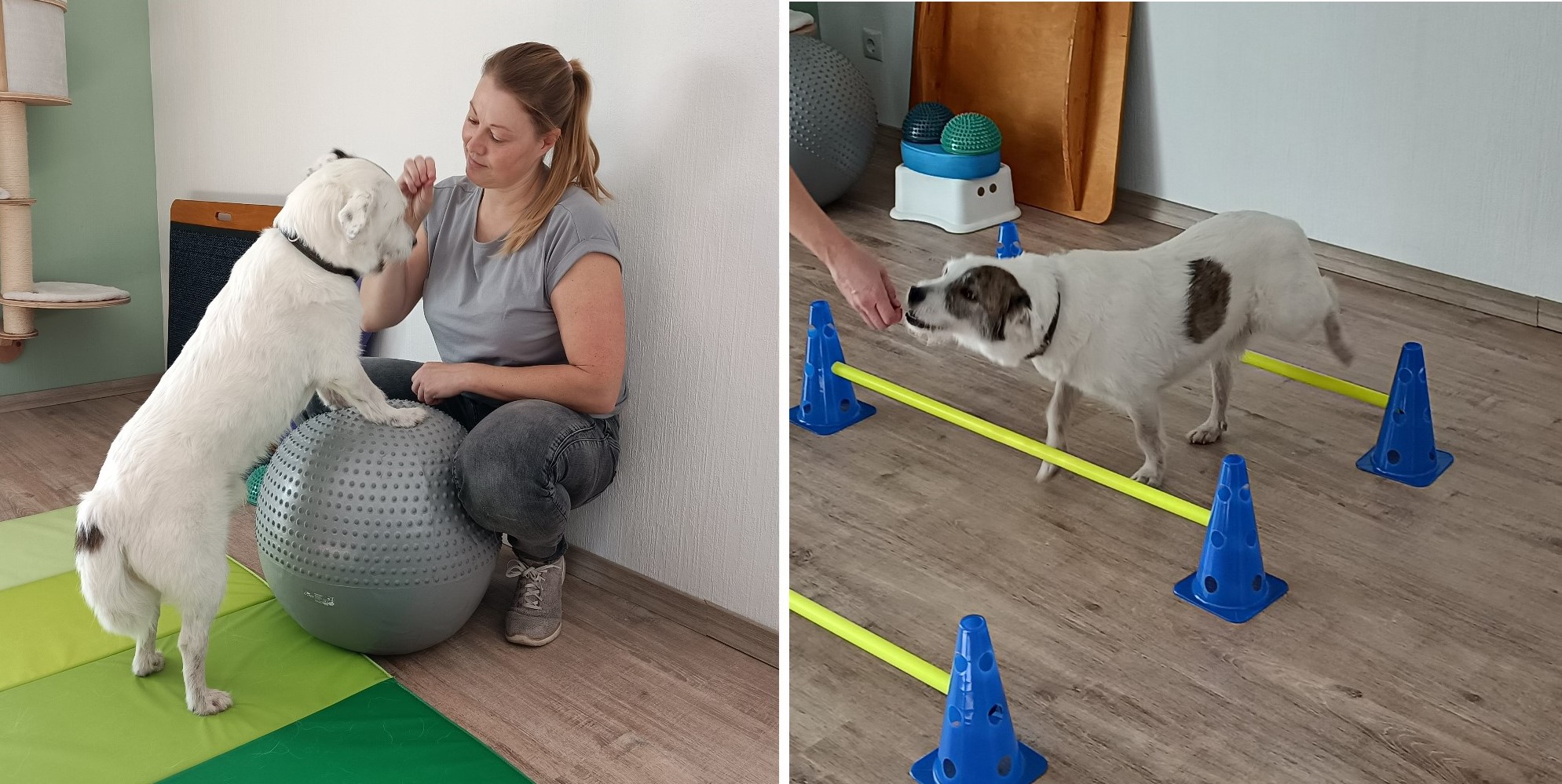 Bewegungstherapie