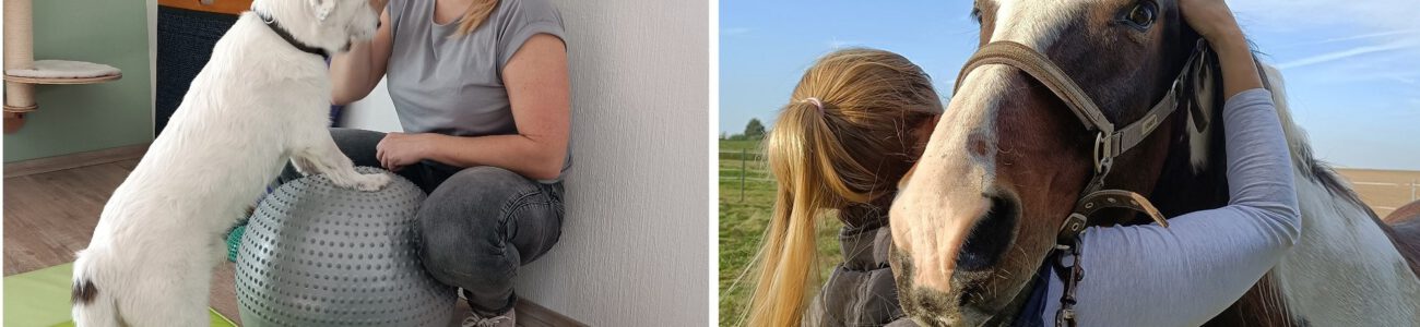 Behandlungsmethoden